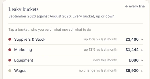 Leaky buckets: every cost bucket against last month, the ones that grew first